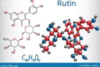 Rutin Skincare Pagi Paling Ringkas Untuk Wanita Bekerja